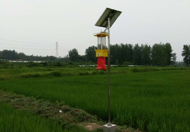 1653465907219274.jpg lADOWukoLs0EEM0DDA_780_1040.jpg