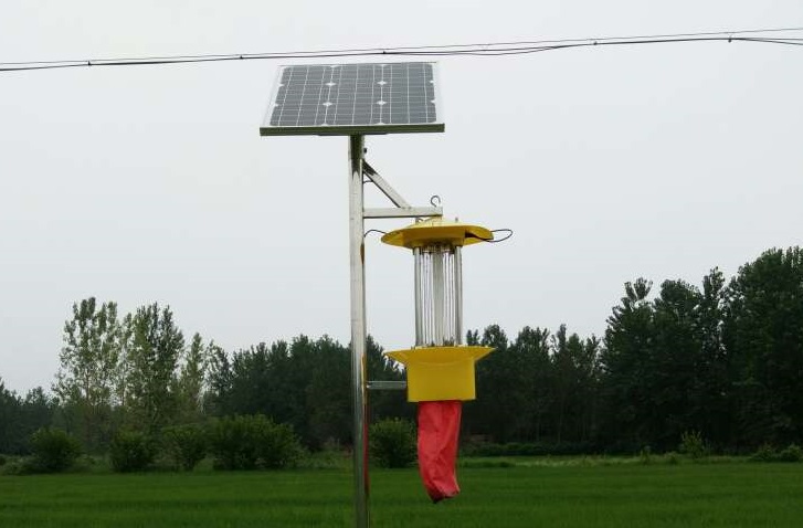 信陽(yáng)水稻種植基地利用云飛殺蟲燈發(fā)展綠色農(nóng)業(yè)