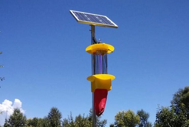 云飛頻振式殺蟲燈來到芒果之鄉(xiāng)田東縣