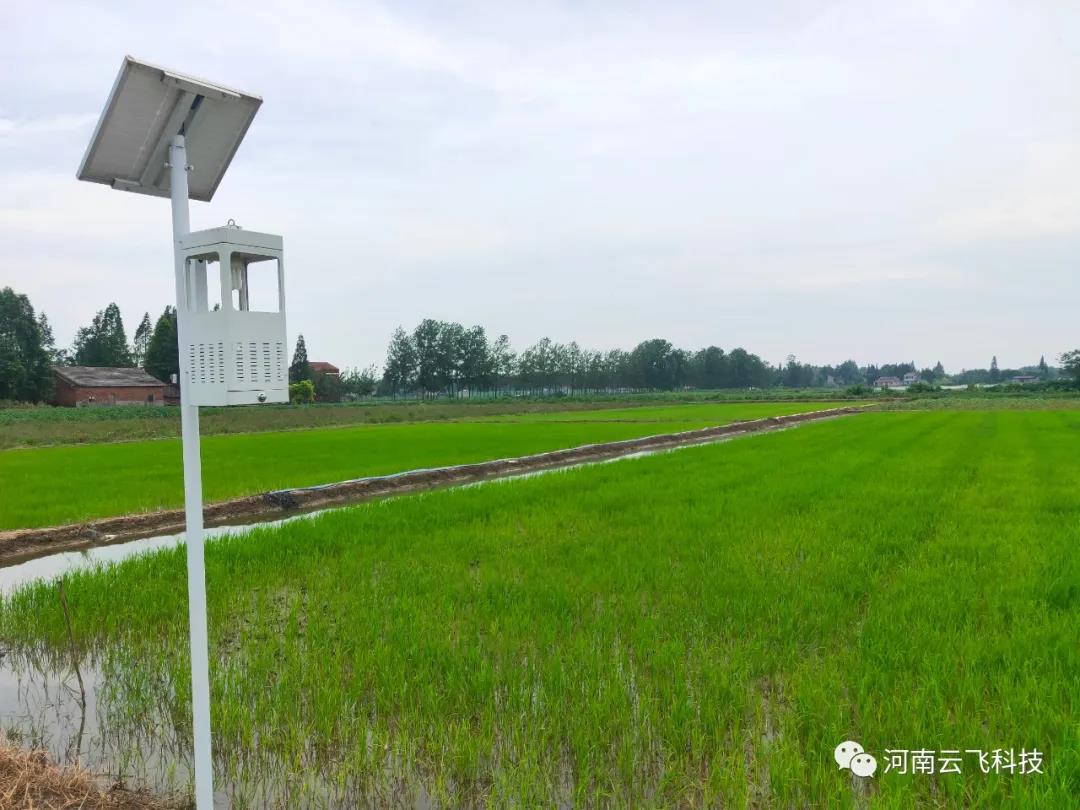 風(fēng)吸式太陽能殺蟲燈